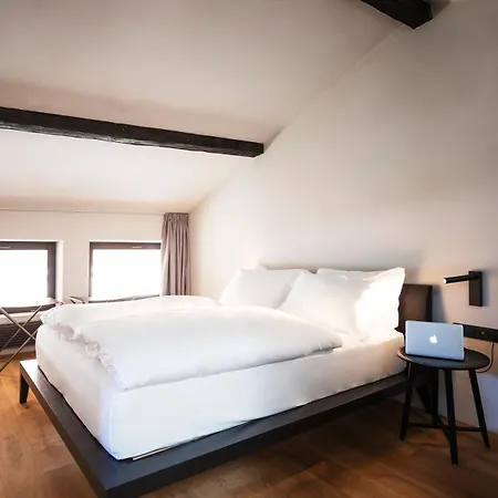 Goldenstern Townhouse Hotel 4*